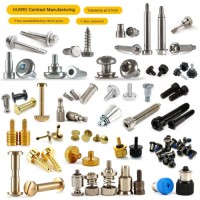 Oem Small Shoulder Thumb Black Pan Flat Hex Hexagon Head Brass Aluminum Metal Stainless Steel Machine  Tapping Screw