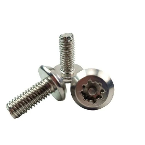 Stainless Steel 304 Or Nickel Plating M2 M3 M4 M5 M6 M8 Tamper Proof Security Bolts Nuts